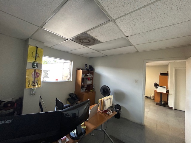 Img 0929