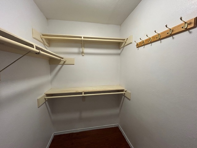 Img 1271