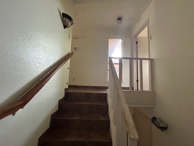 Img 1629