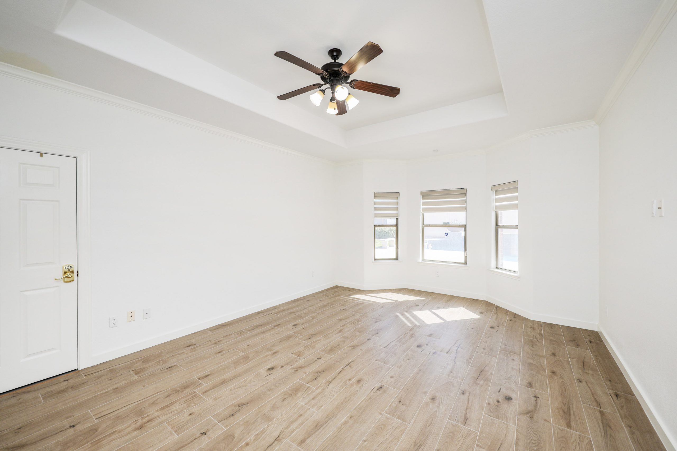 Lulw 115 Coahuila 20