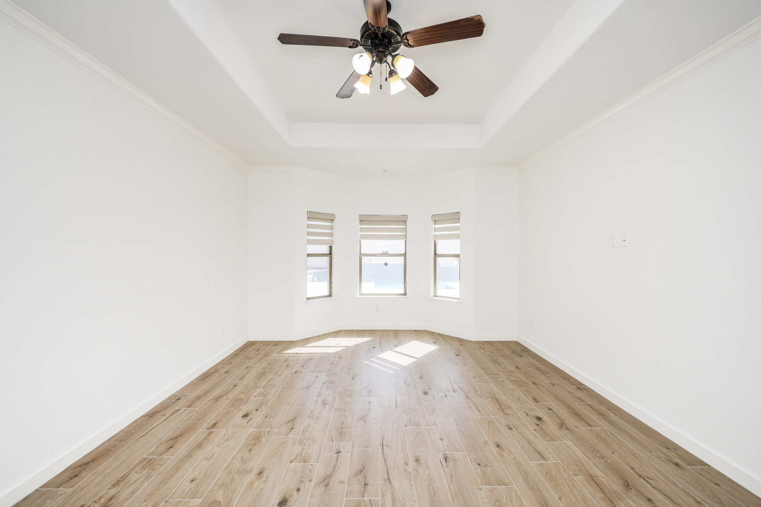 Lulw 115 Coahuila 21