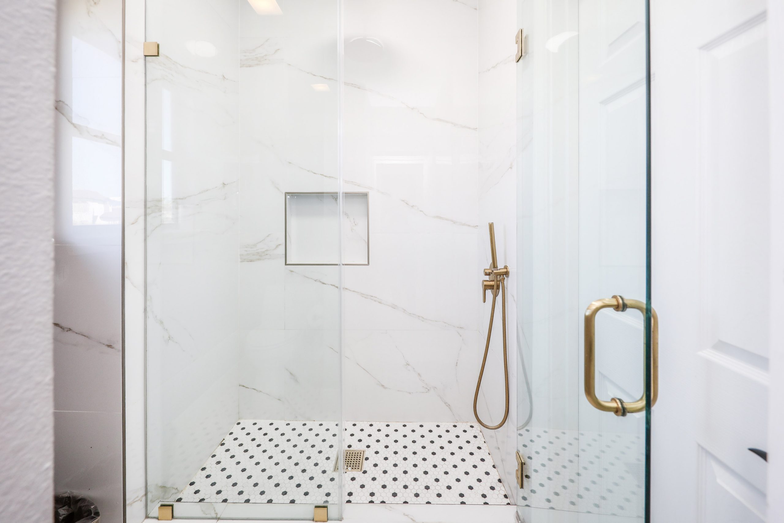 Lulw 115 Coahuila 43